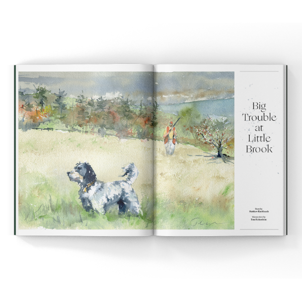 English-Setter-Watercolors-in-Magazine English Setter in watercolor painting in a magazine spread.