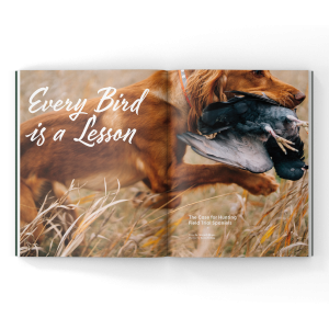 English Cocker Spaniel training on a magazine spread.