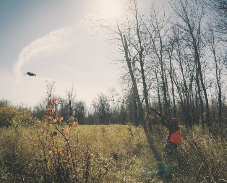 A hunter shoots at a woodcock in Minnesota