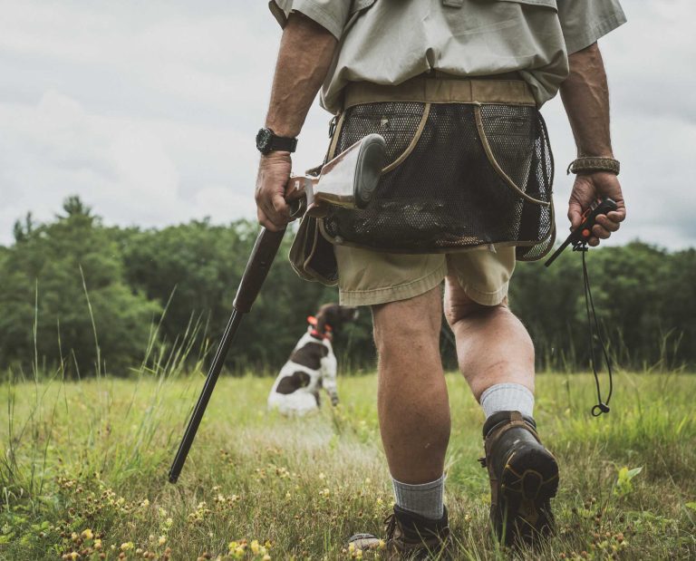 A Deutsch Kurhzaar being trained by veteran bird dog trainer Dave Trahan.