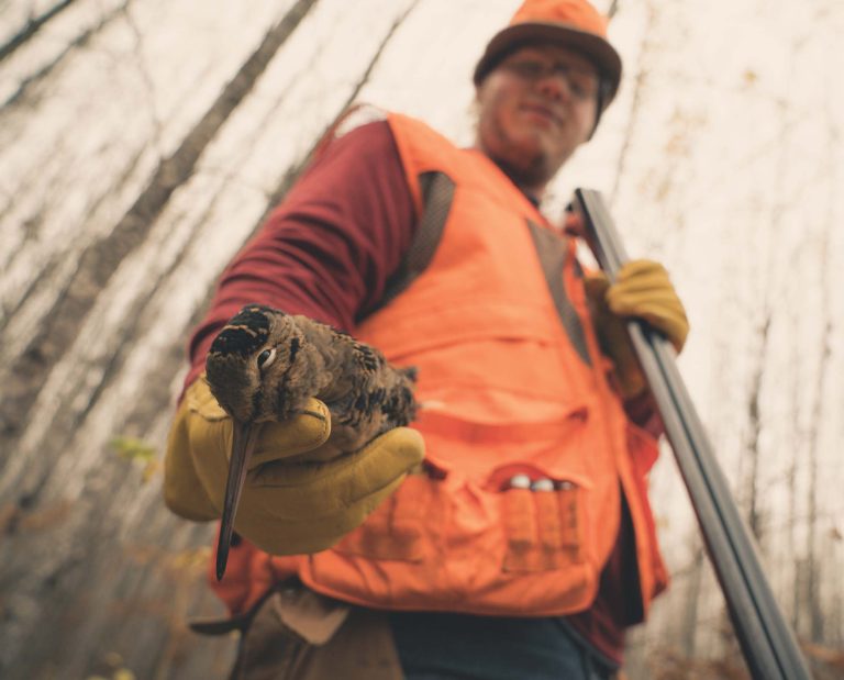 A bird hunter holds a woodcock and a shotgun