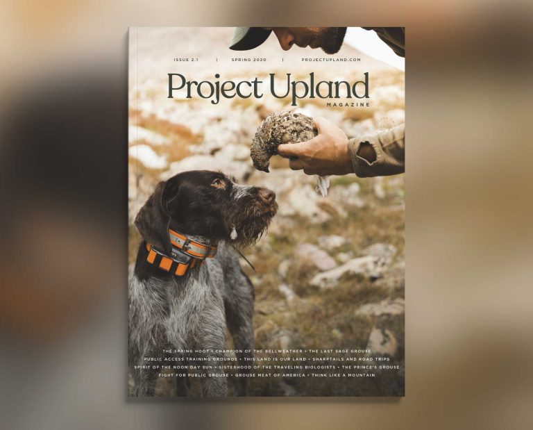 Cover of the Spring 2020 Issue of Project Upland Magazine