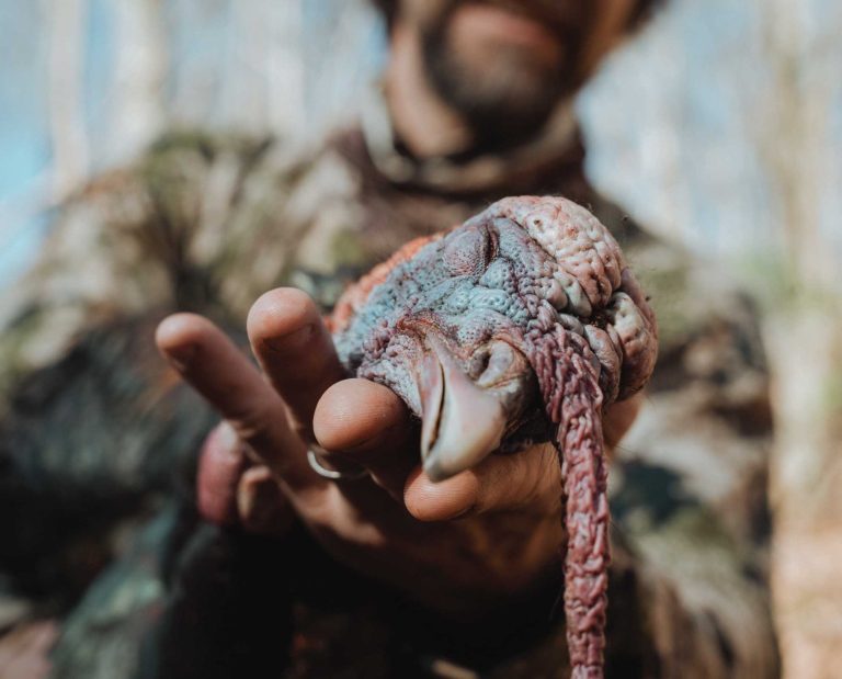 A turkey hunter shows a bird he shot.