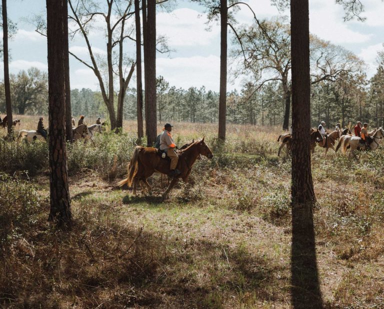 African-American of the Georgia-Florida Shooting Dog Handlers Association riding
