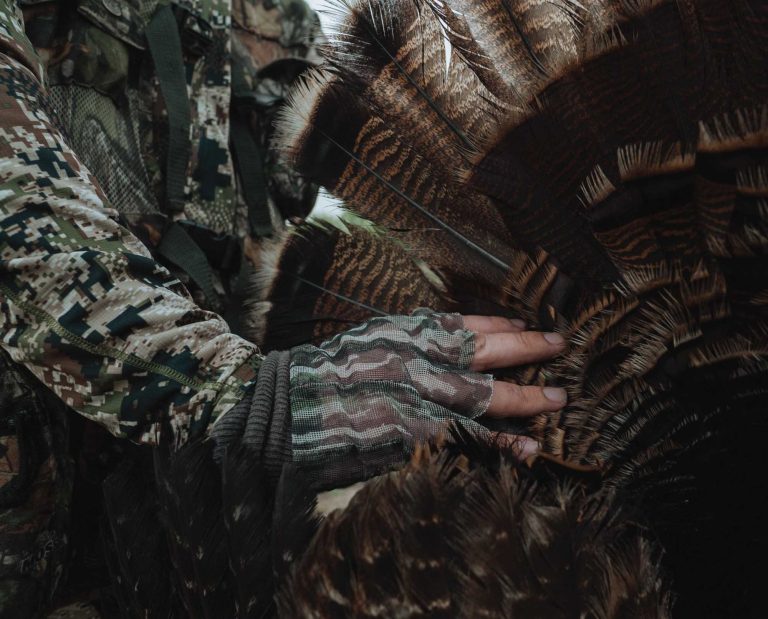 Still from a rio turkey hunting video.