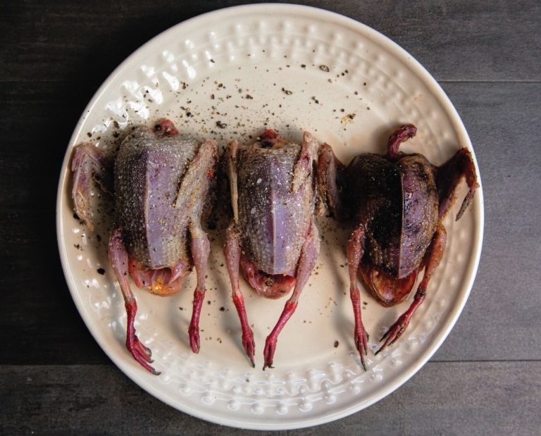 A look at properly aged dove meat