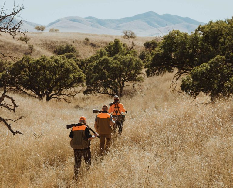 Hunting the three species of Southwestern quail in Arizona.