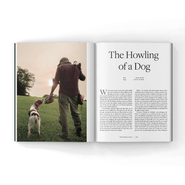 American-brittany-book American-brittany-book