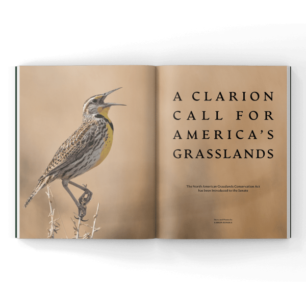 American-grasslands-magazine North American Grasslands Act in a magazine