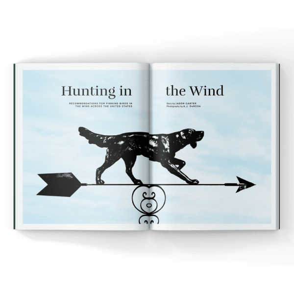 Bird-Dog-Magazine Bird-Dog-Magazine