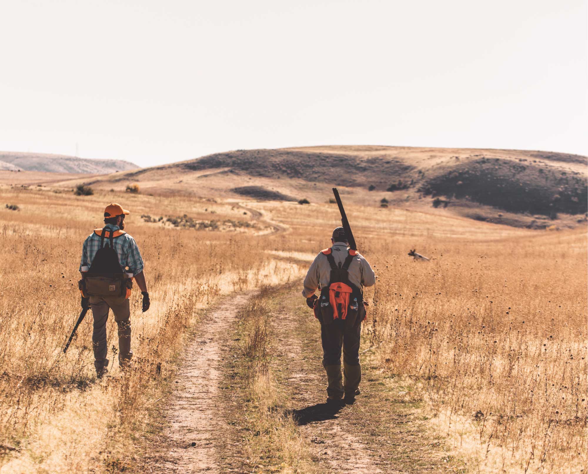 Two bird hunters and a bird dog hunting in Idaho.
