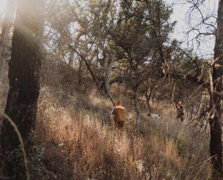 Bird hunters walk in on a quail point in Arizona