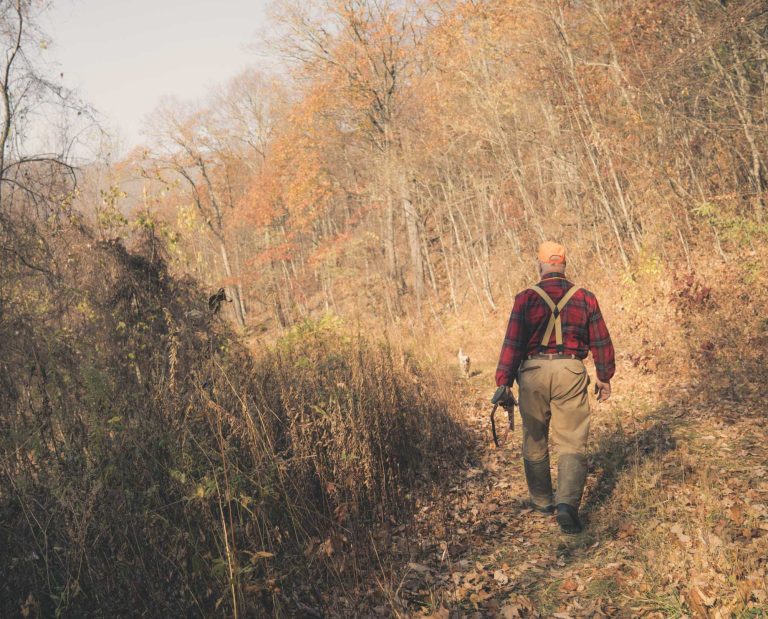 bird hunters in the mountains of North Carolina.