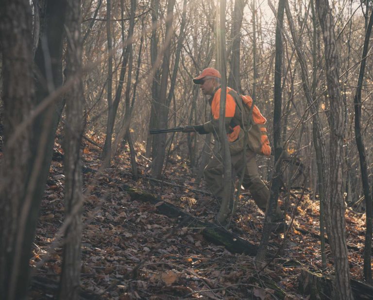 A bird hunter going after Ruffed Grouse in Virginia