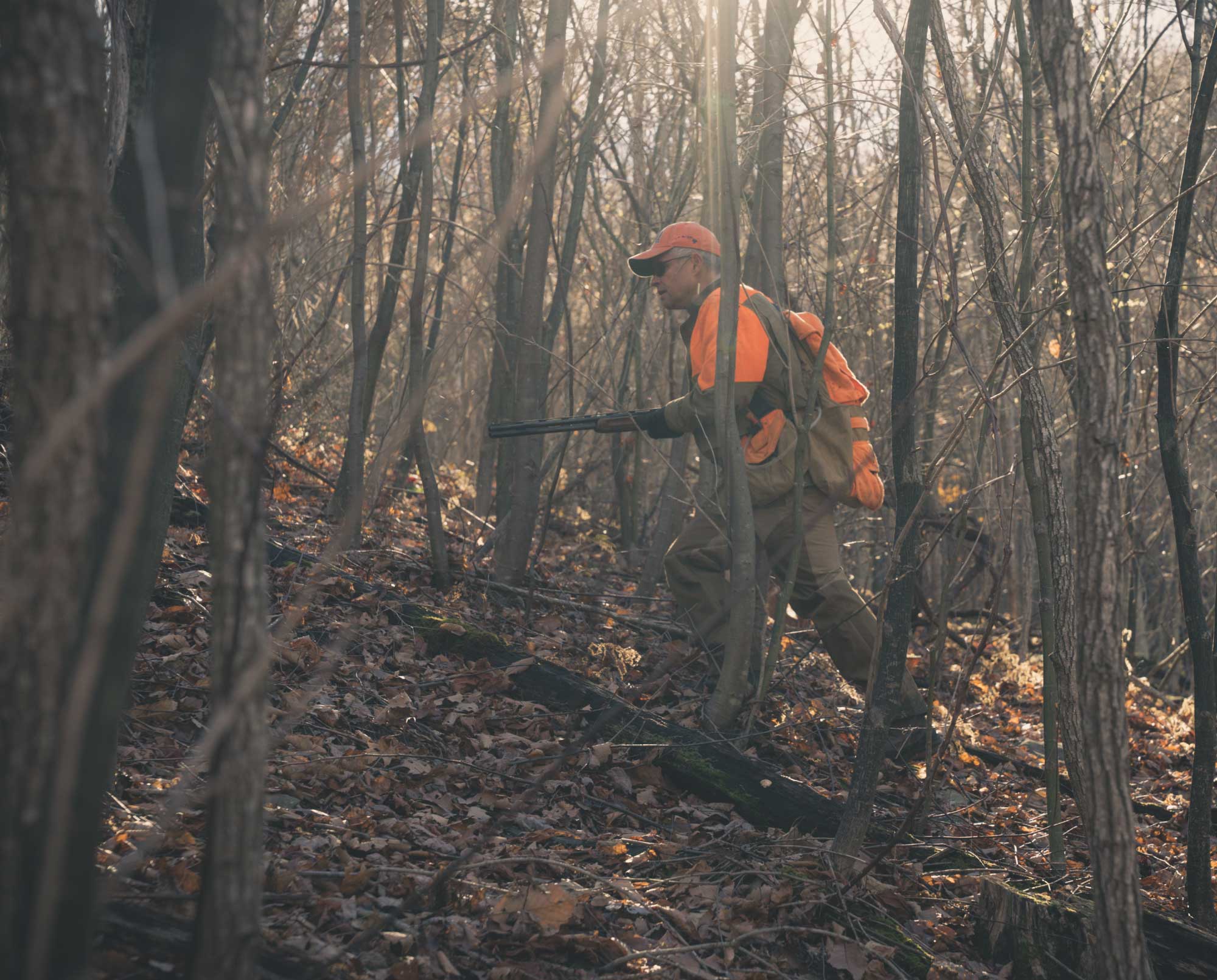A bird hunter going after Ruffed Grouse in Virginia