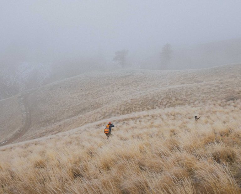 Hunting Washington for Grouse, Quail, Pheasant and More