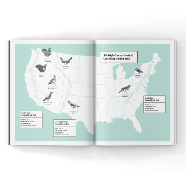 Birds-of-the-Pacific-Crest-Trail-Magazine Bird hunting magazine in America