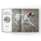 The Bracco Italiano in a Magazine article