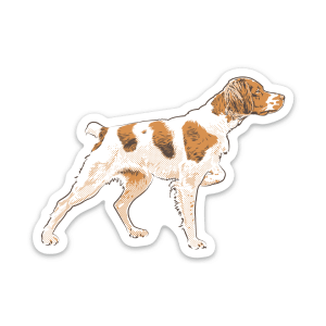 A dog sticker of a Brittany on premium vinyl