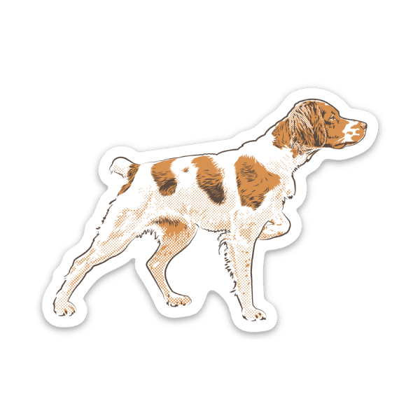 Brittany-Dog-Sticker A dog sticker of a Brittany on premium vinyl