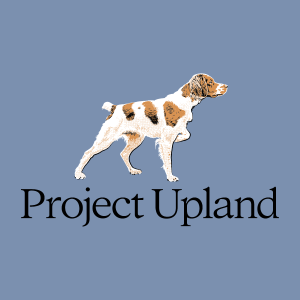 Brittany Tee shirt close up of artwork