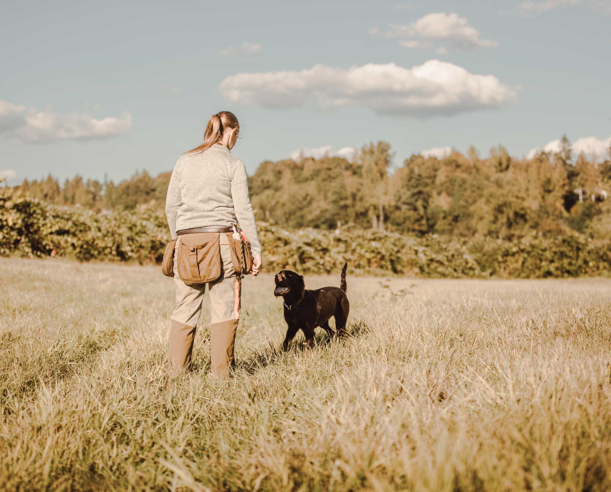 A dog and handler look at each other while training.