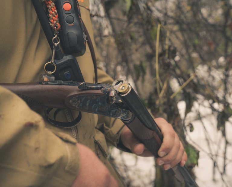A CZ Sharp-tail being used by a bird hunter.