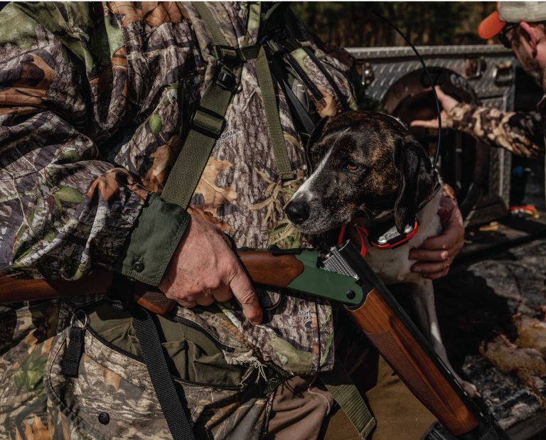 A CZ Upland Ultralight along with a hunting dog.