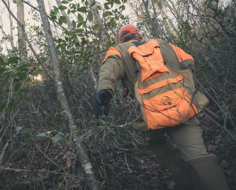 a grouse hunter walking through ruffed grouse habitat in Virginia.