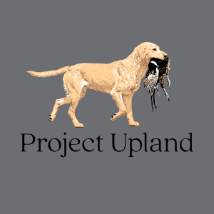 Close up if the Yellow Labrador Retriever from a t-shirt design