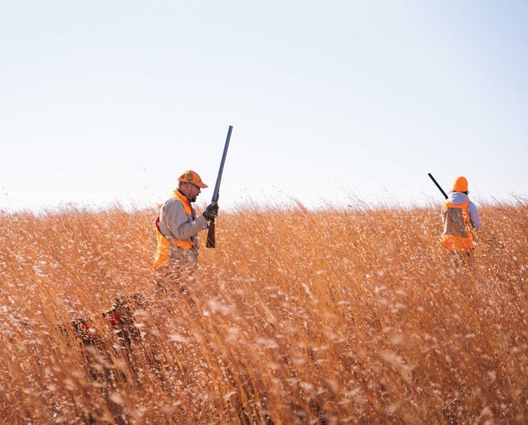 Craig Koshyk, Dog Historian in the field