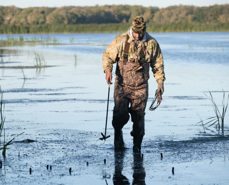 A waterfowl hunter walks out of a marsh.