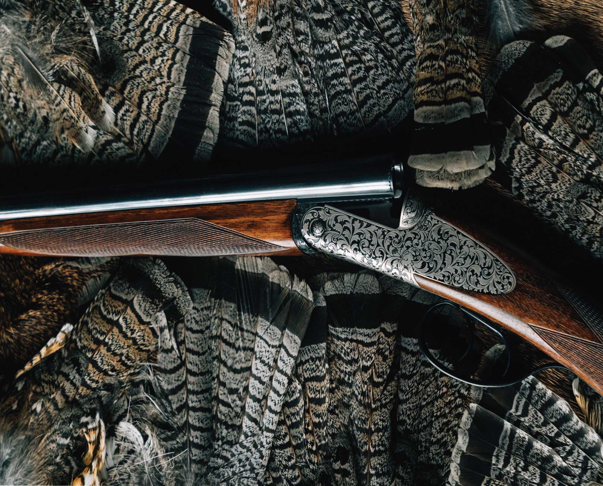 A grouse hunting shotgun with a group of ruffed grouse fans