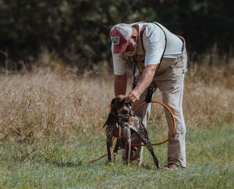 Mo Lindley training a bird dg using the Gibbons-West method
