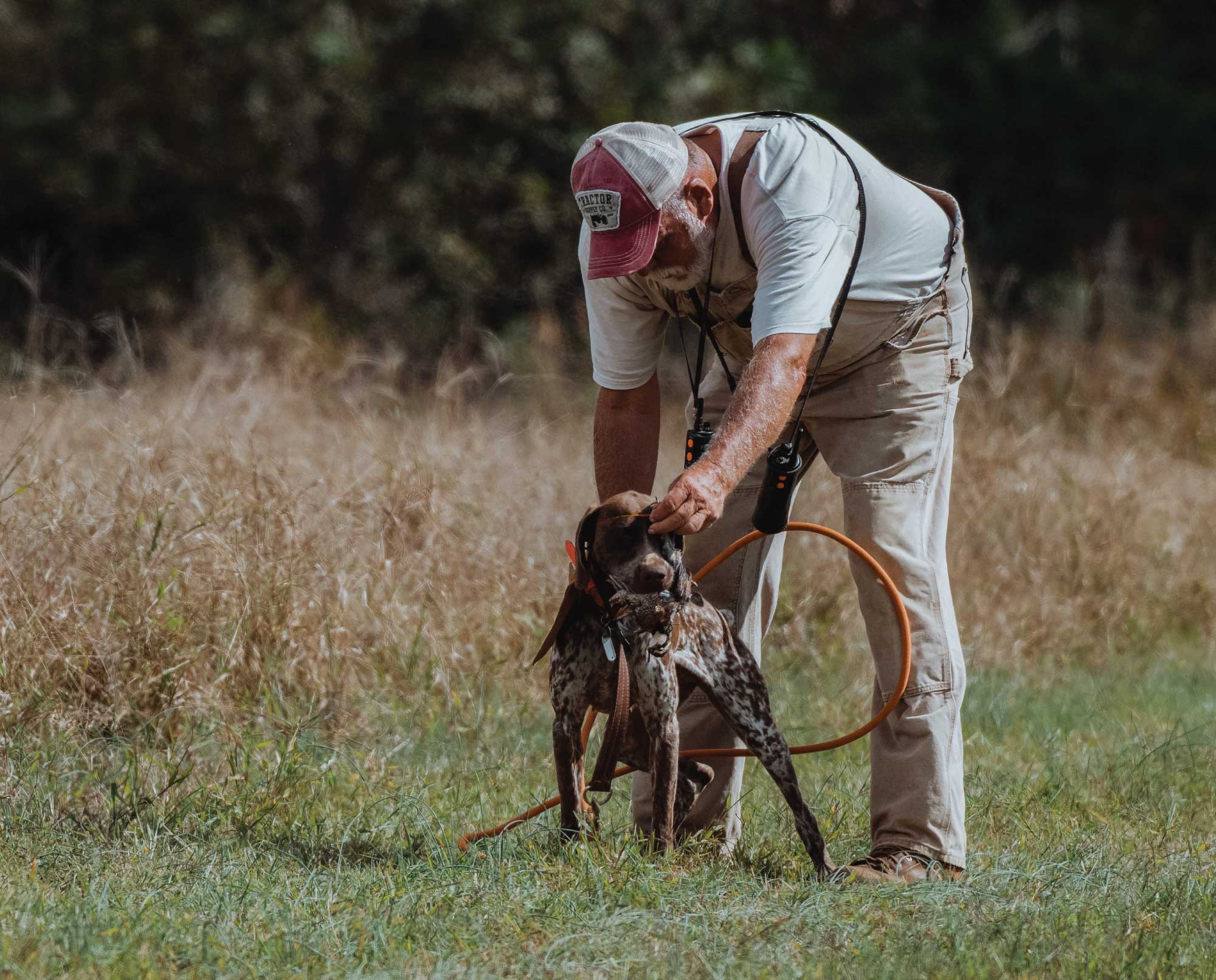 Mo Lindley training a bird dg using the Gibbons-West method