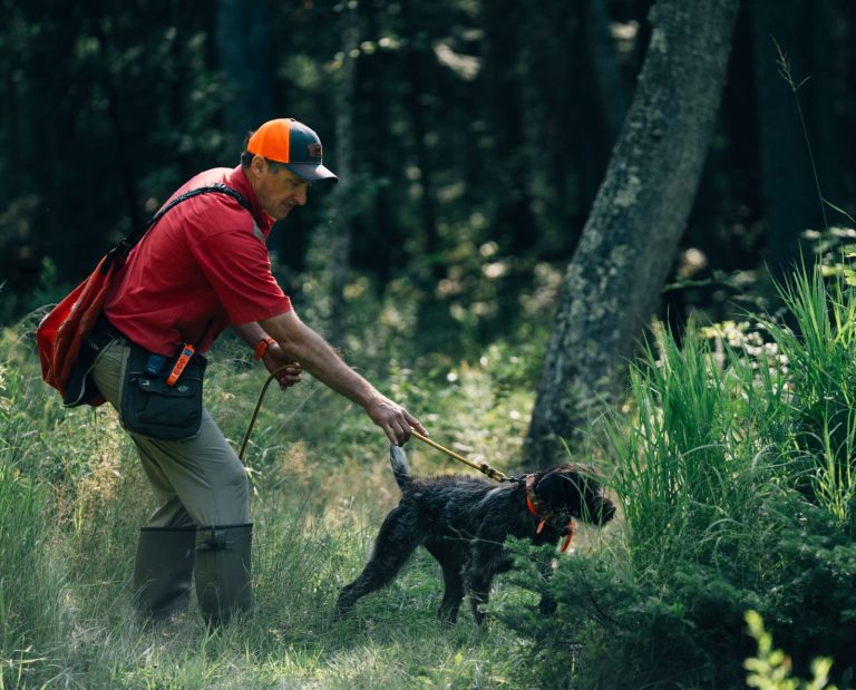 A man holds a leashed German Wirehair Pointer.