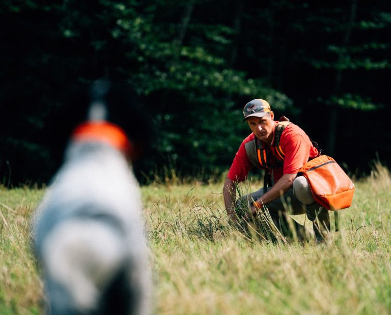 A dog and a dog trainer making eye contact.