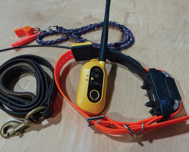 Dogtra Pathfinder 2 GPS Dog Collar