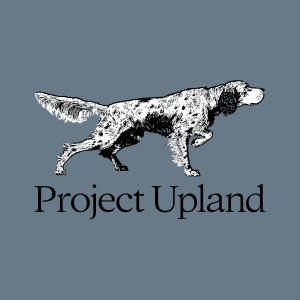 English Setter Hooded Sweatshirt close up of artwork