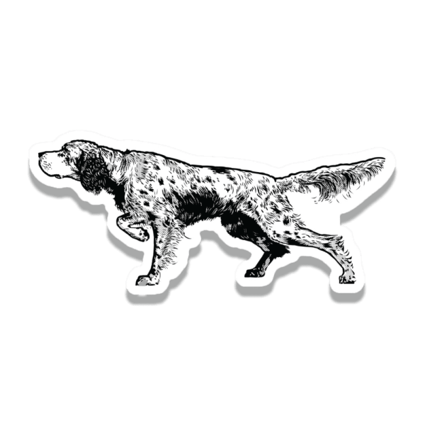 English-Setter-Sticker-Final- An English Setter sticker with the dog on point