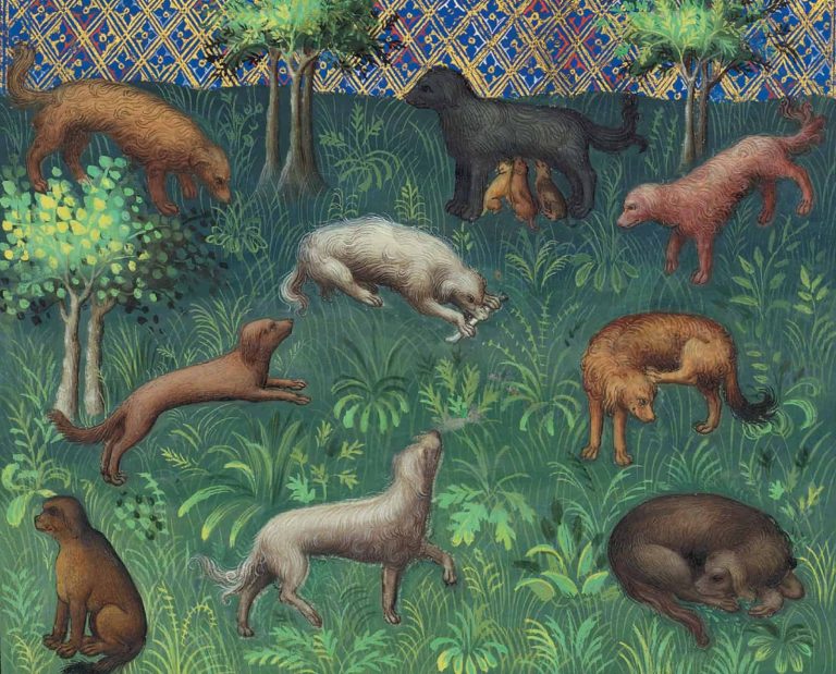 Early painting depicting various types of dogs and their uses.