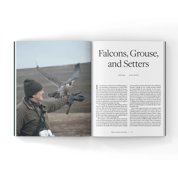 Falconry-and-dogs-book Falconry-and-dogs-book