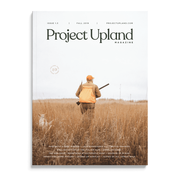 Fall 2019 Volume One Issue Three