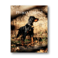 Fall-2022-V4N3-Project-Upland-Magazine-Cover-featuring-a-Gordon-Setter