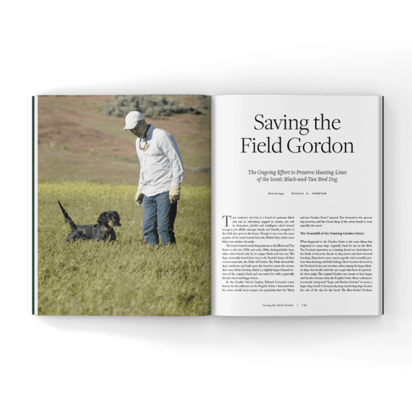 Field-Gordon-Setters-Book Field-Gordon-Setters-Book