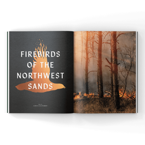 Fire-managment-for-birds-magazin-e fire management for wild birds in a magazine