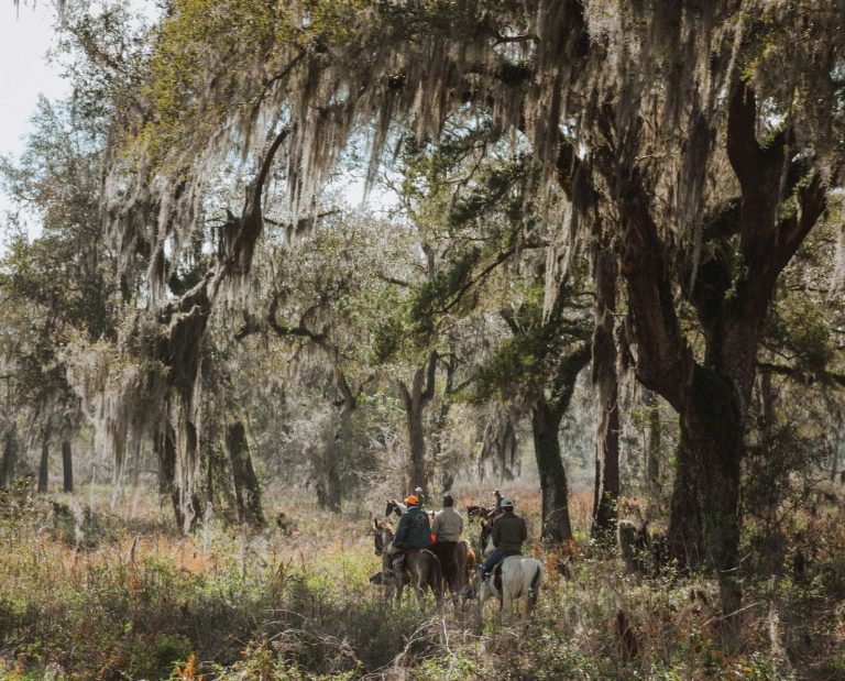 Bird dog trainers riding horseback during a field trial