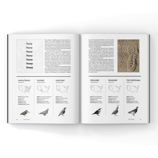 Game-Birds-of-the-Pacific-Magazine Birds of the Pacific Crest Trail in a magazine