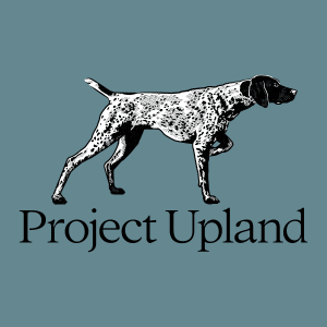 German-Shorthaired-Poimnter-gear-design