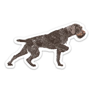 A vinyl German Wirehaired Pointer sticker.